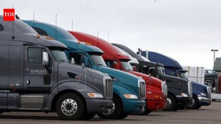 $1,000 fine, 90 days in jail: Non-English speaking truck drivers in Wyoming may now be punished by police under new law