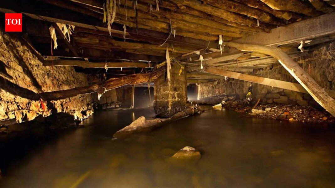 5 rivers flowing underground around the world | World News