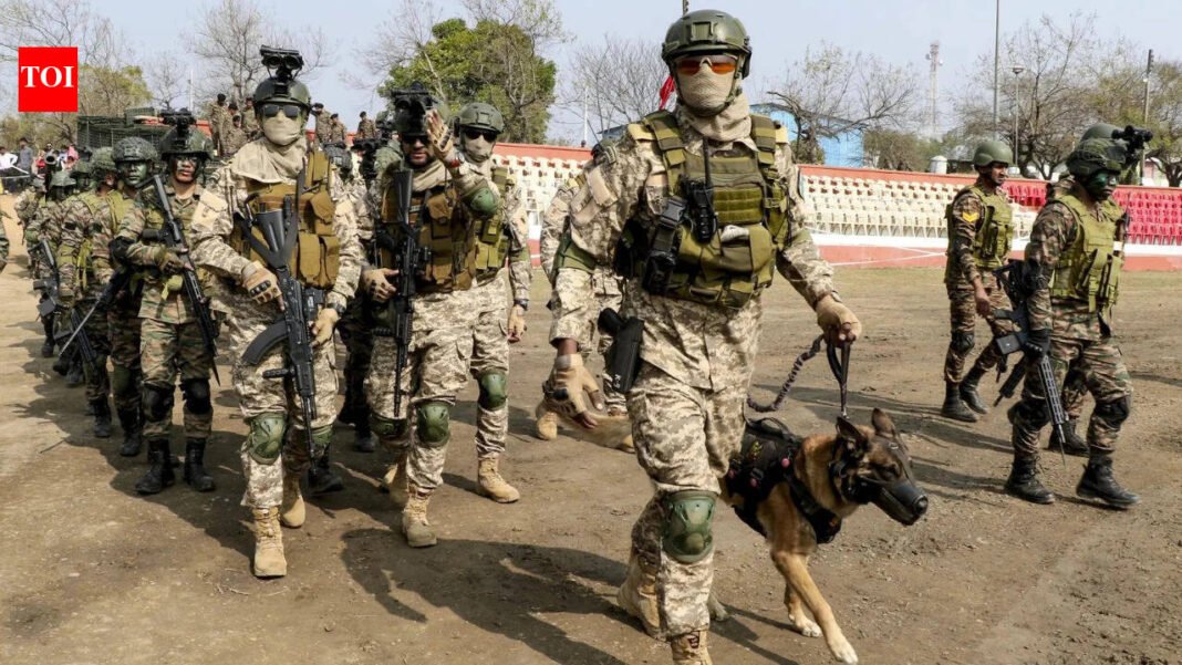 Army columns deployed in Meghalaya after police firing kills two; curfew imposed

