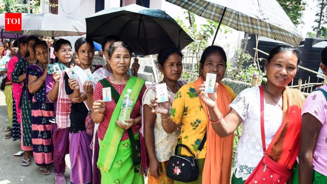 Assam Assembly elections 2026: From eviction drive to NRC debate, issues to dominate state polls