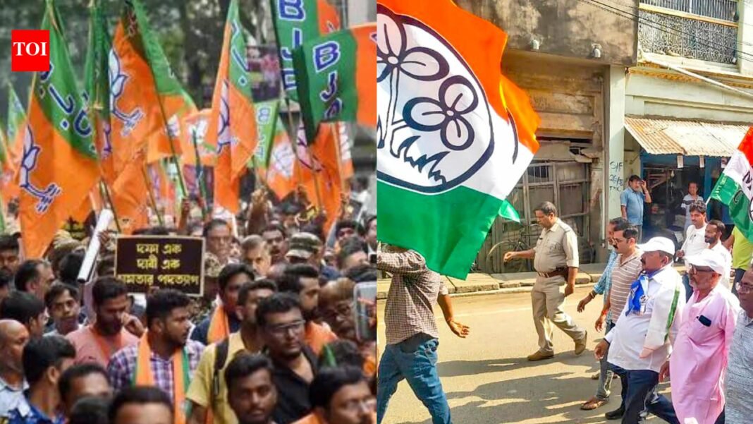 Bengal Assembly elections: From TMC to BJP – Top 10 richest candidates in trouble