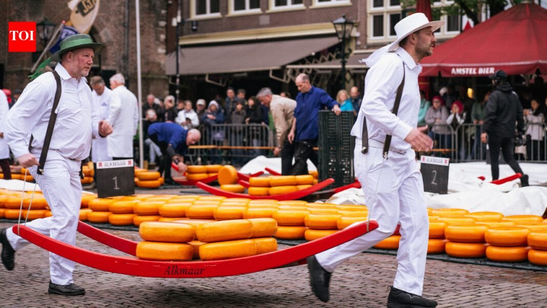 Cheese ritual: Men in white compete with giant wheels of cheese inside 660-year-old Dutch market | World News

