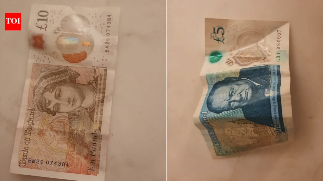 Churchill and Austin to be replaced by wild animals on UK banknotes