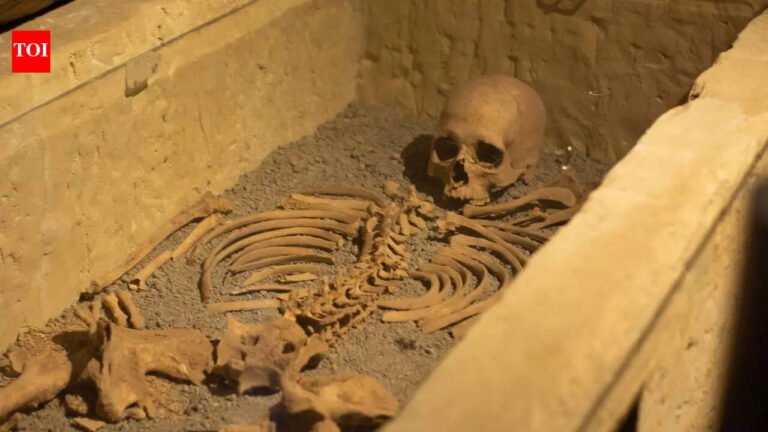 Coffin falling from the sky: The 1900 mystery of “Princess Bagiz” | World News