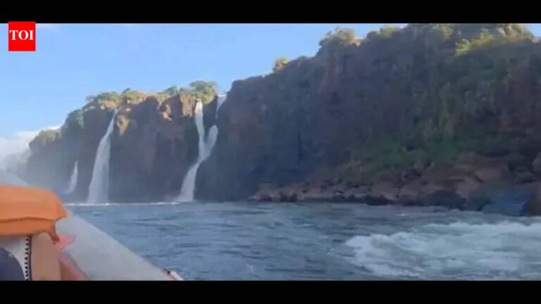 ‘Disgusting India-India slogan’: Professor says he was embarrassed when ‘Delhi bros’ caused riot at Iguazu Falls