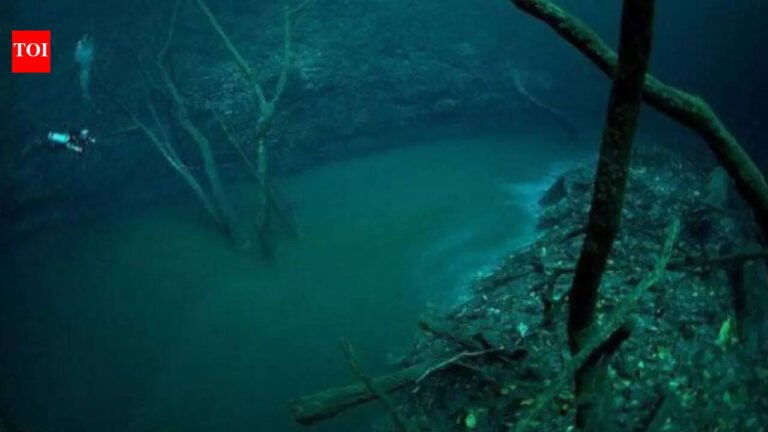 Earth’s ‘sixth largest river’ hides 115 feet beneath the Black Sea |