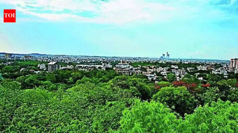 Government proposes central agencies to curb green nod delayed