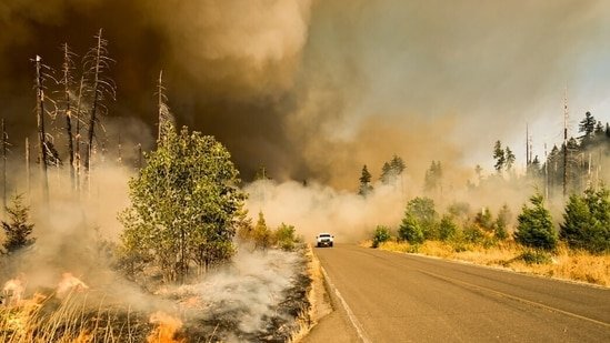 Hernando County: ‘Shallow Line’ fire spreads rapidly near Weeki Wachee; see map, evacuation details, video