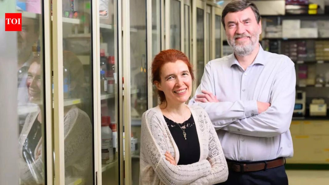 Humans can live to 200, and the secret may lie in whales: study |