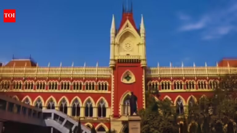 Inclusion of ‘suspicious voters’ in rolls will be subject to judge’s order: CEC