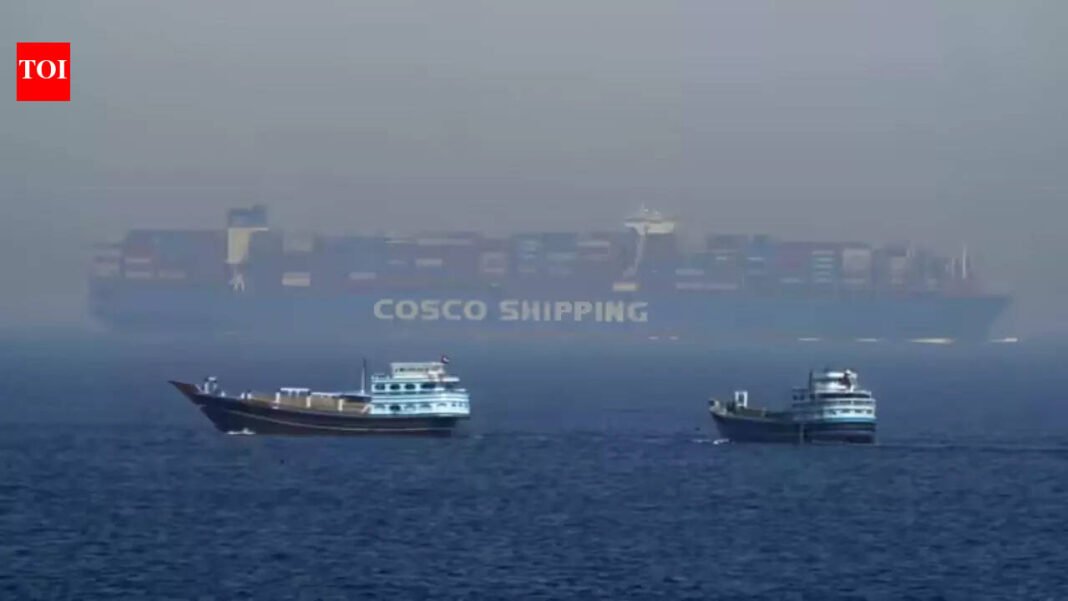 India considers naval escort for ships in Strait of Hormuz during Iran war: report