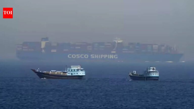 India considers naval escort for ships in Strait of Hormuz during Iran war: report