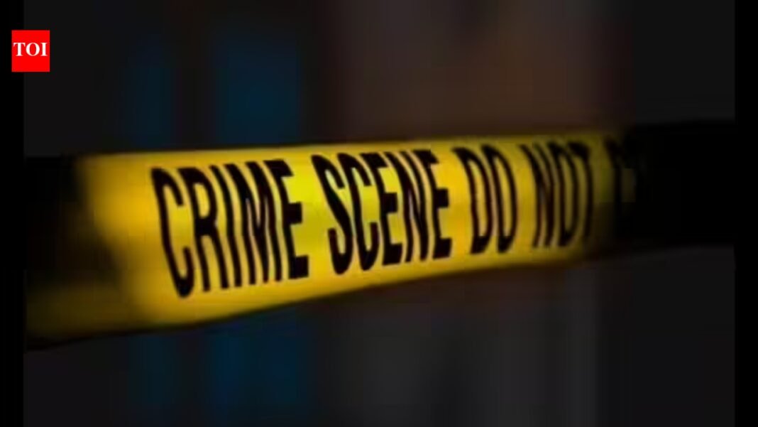 Karnataka: Husband cuts wife’s throat, then drives away; onlookers record video