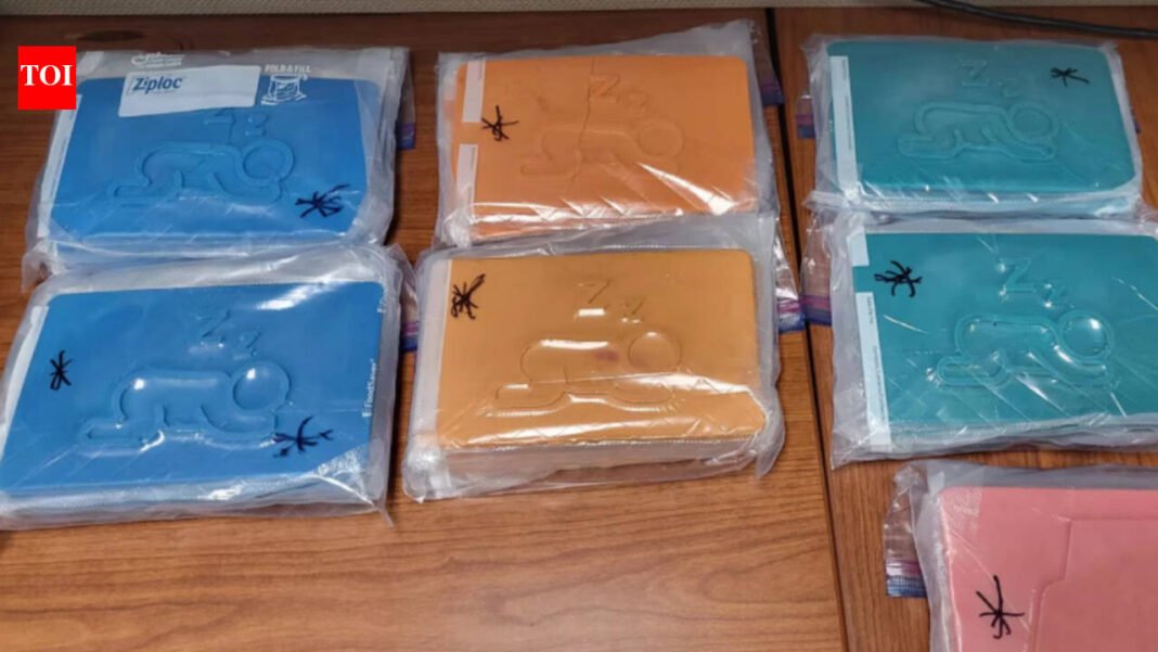 Navjot, Attarvir, Balwinder and Manpreet Singh charged after $2.3 million worth of suspected fentanyl seized in Brampton