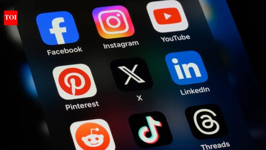 Parliamentary committee backs age restrictions for social media platforms