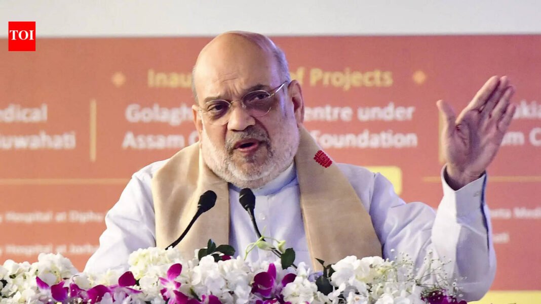 ‘Rahul Gandhi defamed India’: Amit Shah on Youth Congress’ topless protest at Delhi AI summit