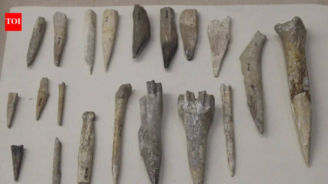 Saudi Arabia: Saudi News: 13,500-year-old settlement discovered in Naifud Desert, 190 kilometers of trade links shocks archaeologists | World News