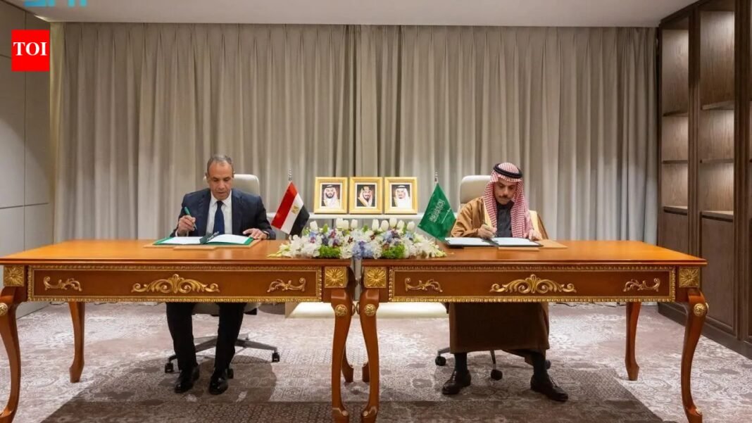 Saudi Arabia and Egypt sign agreement to waive short-term stay visas for official passport holders World News

