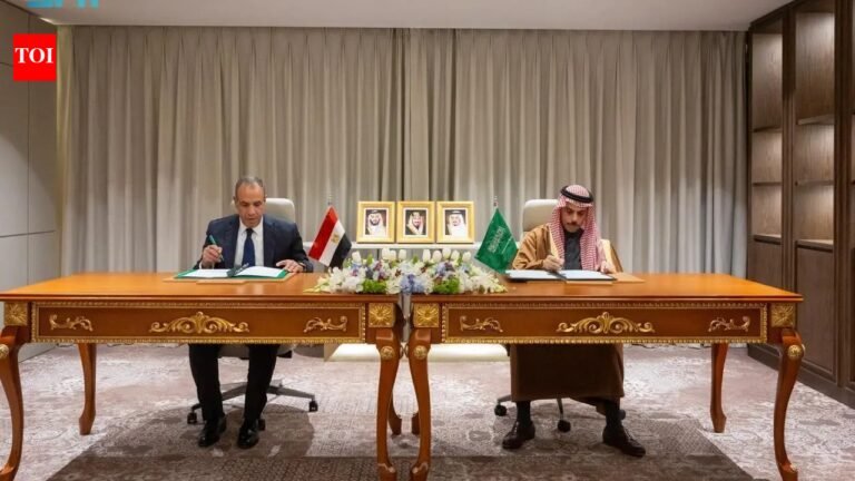 Saudi Arabia and Egypt sign agreement to waive short-term stay visas for official passport holders World News