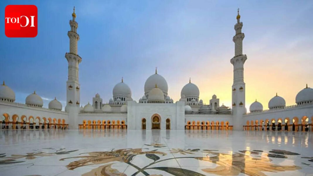 Sheikh Zayed Grand Mosque deploys 100 taxis and extra buses as large crowds expected on last night of Ramadan | World News
