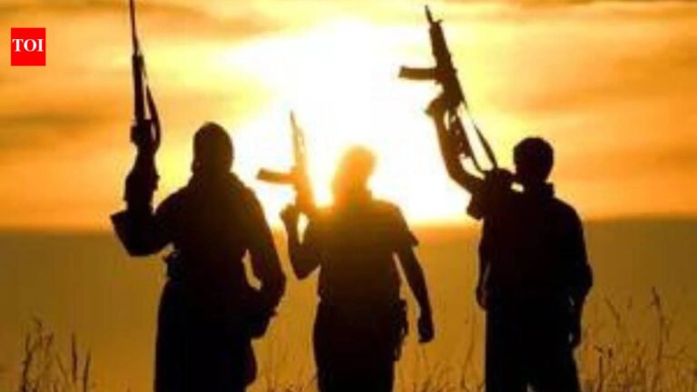 Terror group plans attack in India, supports Myanmar rebels: investigation