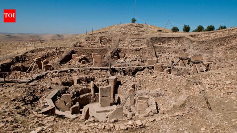 The 12,000-year-old mystery of Göbekli Tepe in Türkiye: Who built this temple, and where did its builder disappear? world news