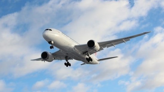 Why did Southwest Airlines flight 2094 be diverted to Atlanta? Passengers removed for safety reasons; horrific video surfaced