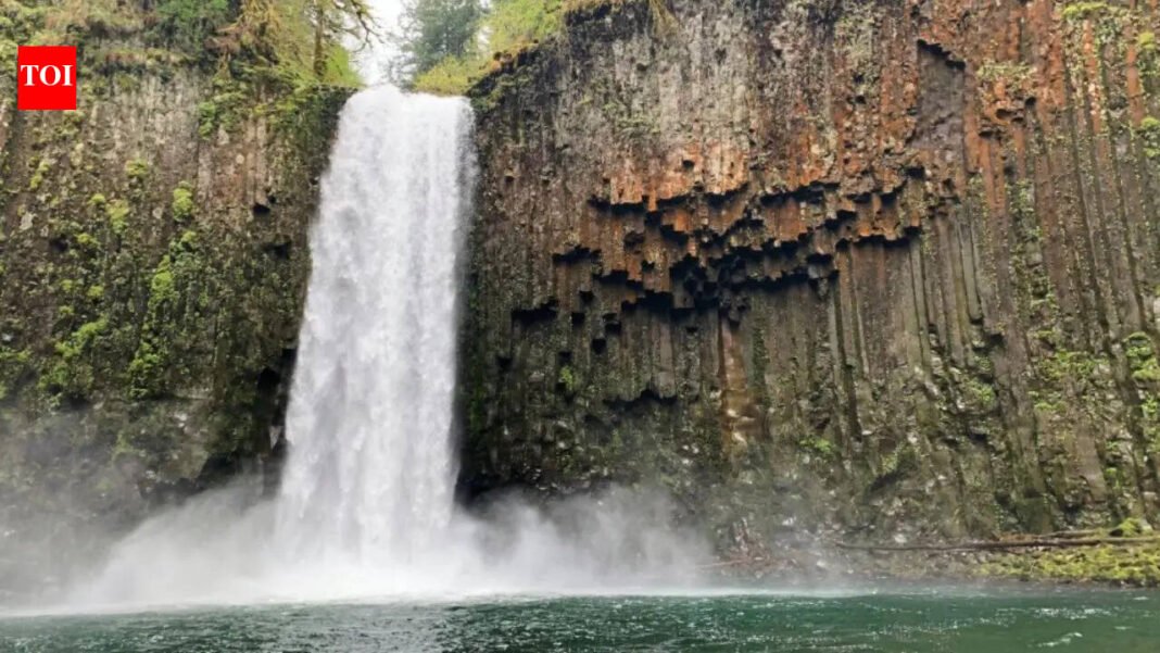 Andhra technician killed in California waterfall accident while traveling with friends India News