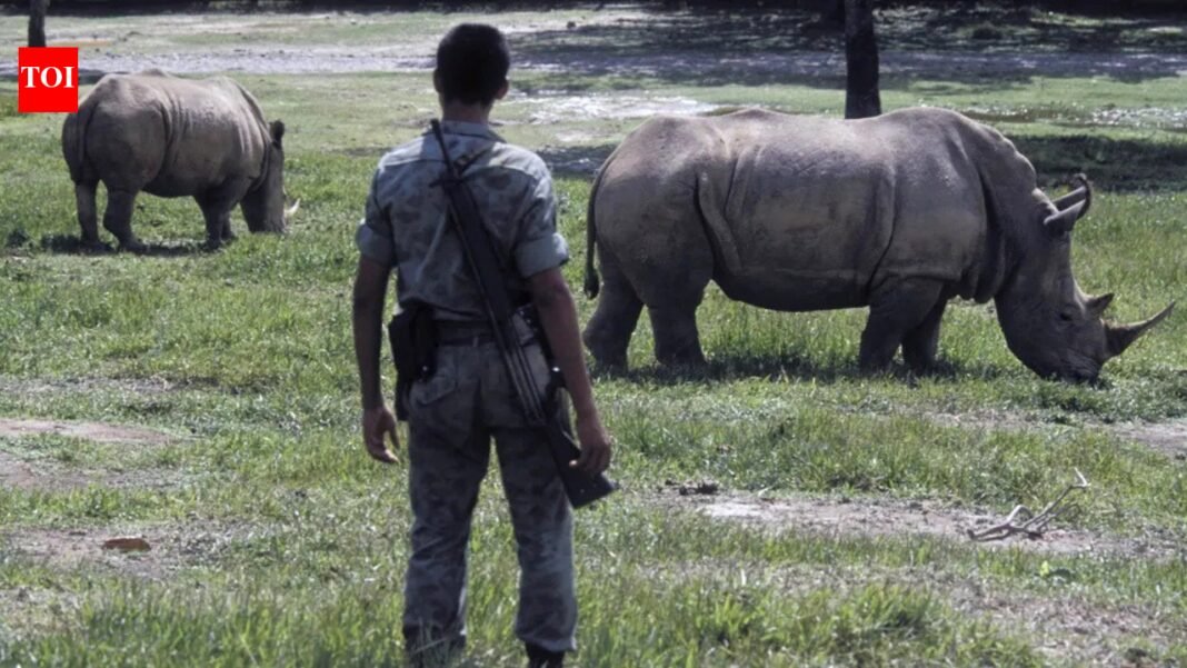 Colombia to kill 80 wild hippos once owned by Pablo Escobar: Why are Africa's giants being hunted? |World News

