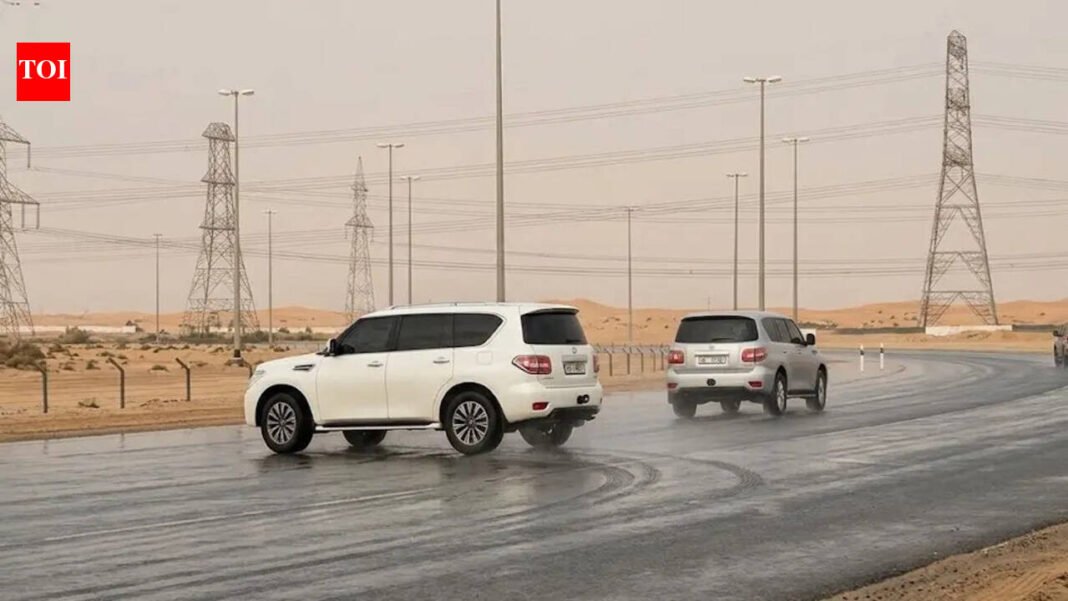 Dubai News: Watch: Dubai Police impounds vehicles, fines Dh50,000 for reckless behavior in rain | World News