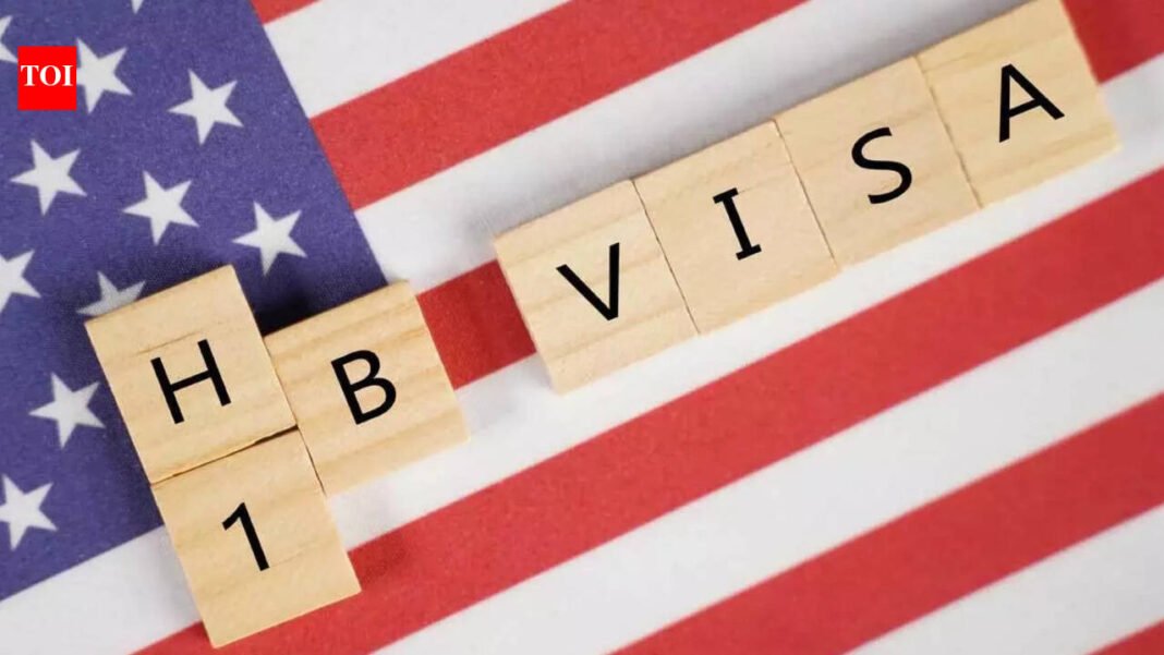 H-1B Visa Alternatives: For Those Not Selected in the H-1B Lottery, It’s Not the End: Immigration Lawyers Explain the 8 Best Options