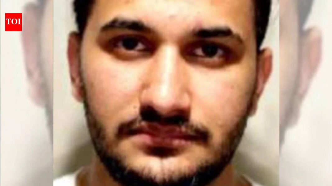 Indian-origin truck driver Baljeet Singh admits he was playing mobile game in Canadian crash that killed two people

