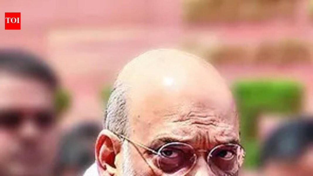 Lines need to be drawn to preserve one vote, one value: Amit Shah in Lok Sabha

