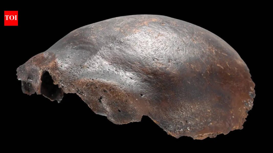 Mysterious German skull discovered in 1973 once thought to be Neanderthal hybrid; new study reveals truth | World News

