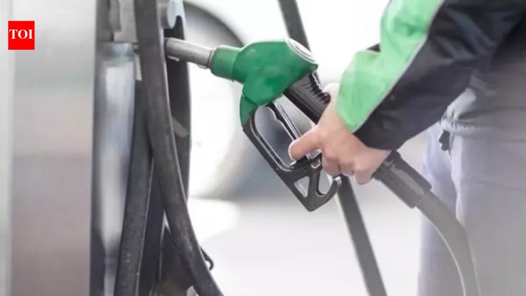 Pakistan oil crisis: Oil shocks, free rides and more: How Pakistan is dealing with the Hormuz energy crisis

