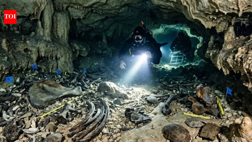 Rare Ice Age fossil found in Texas cave could rewrite ancient climate history World News