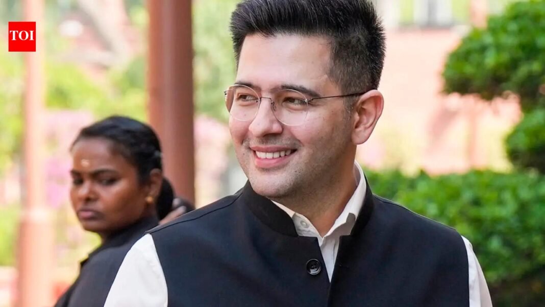 Reacting to AAP Punjab unit charges, Chadha says Punjab is 'my soul'

