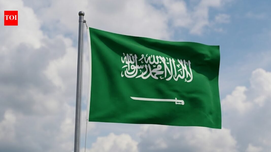 Saudi Arabia arrests more than 14,000 illegal residents, thousands deported in week-long crackdown World News