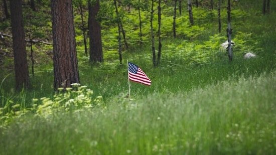 Hindustan Times News