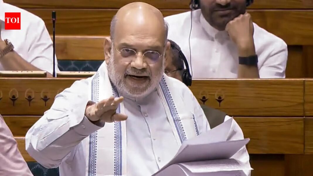 ‘We will not allow North-South division’: Amit Shah rebuts demarcation opposition