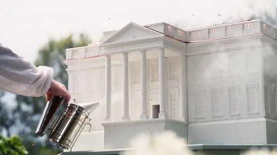 Why is there a White House-shaped beehive on the South Lawn? Inside Melania Trump’s new project