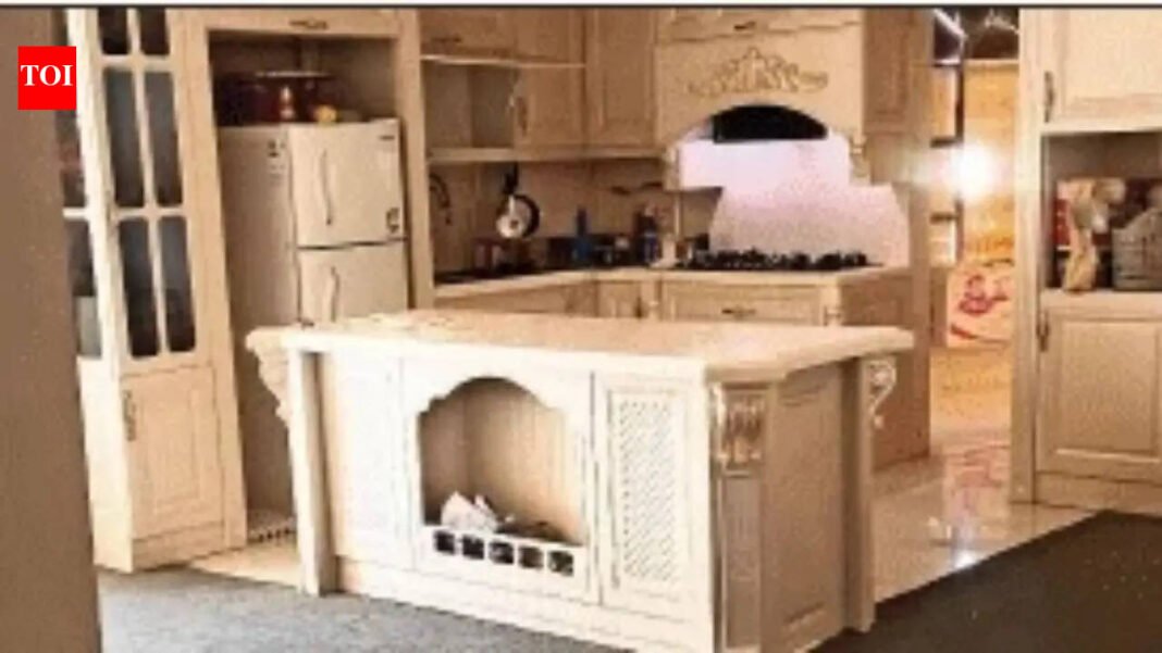 ‘Won’t leave’: Desi student lives alone in 9th floor apartment