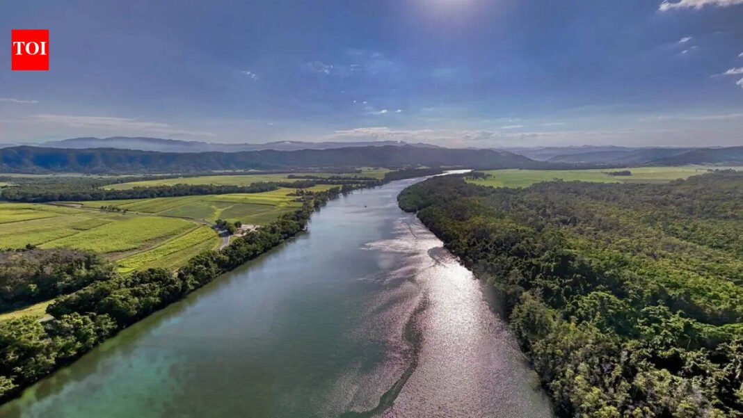 5 snake-filled bodies of water in Queensland surrounded by rainforests and wetlands