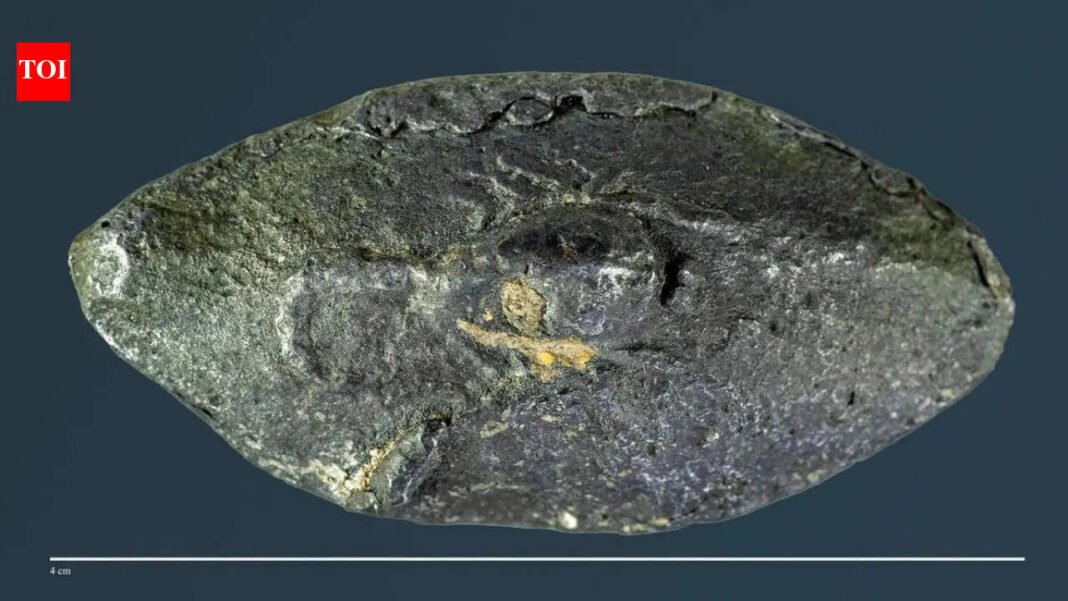 Ancient bullet carries a secret Greek word from 2,100 years ago, shocking experts around the world and revealing ‘ironic’ war message