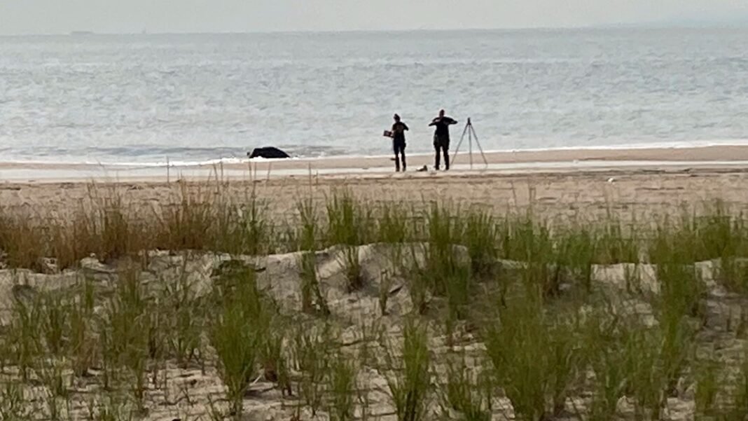 Brooklyn woman sentenced for drowning 3 children on Coney Island beach

