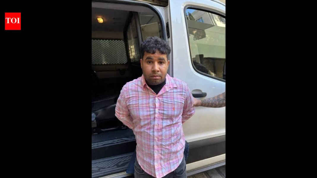 California hit-and-run: Indian man arrested by ICE after state release, 4-year-old victim expected to survive