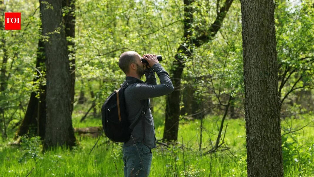 Crowdfunding helps Serbian birdwatchers save woodland

