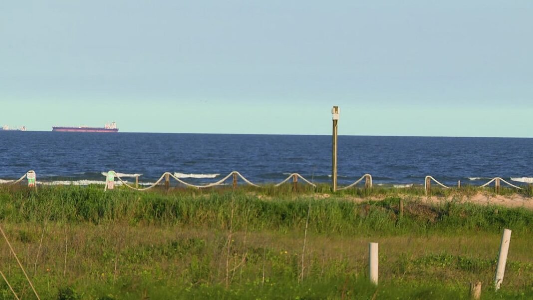 Dad uses tourniquet after shark attacks teenage son miles off Texas coast


