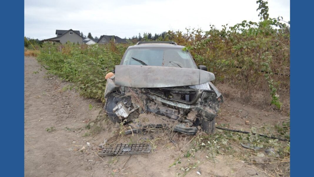 Driver wanted in Guatemala’s 2016 fatal crash in Whatcom County has been confirmed dead, WSP says