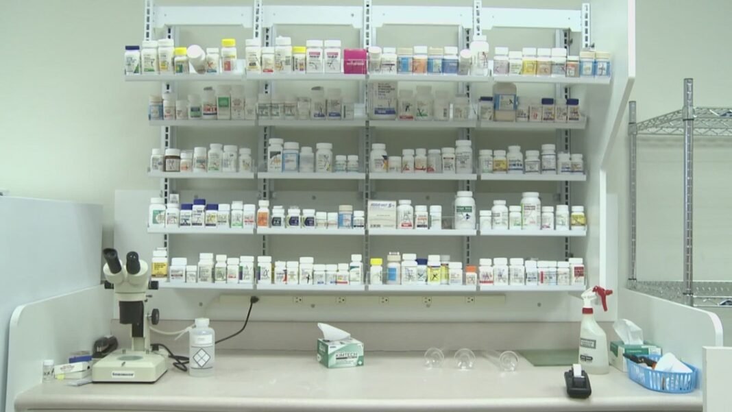 Forever Chemicals, Generic Drugs, and Hidden Calories Will Ruin Your Diet